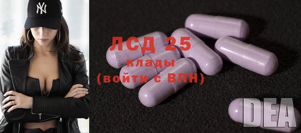 spice Верея