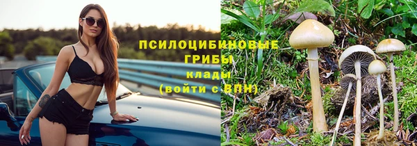spice Верея
