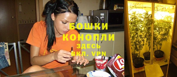 spice Верея